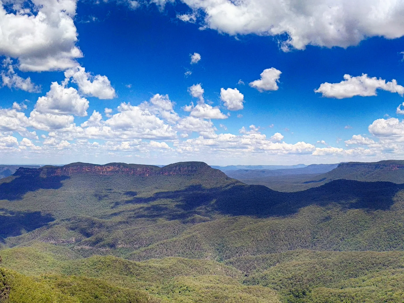 Cliffs and eucalyptus forest of the Blue Mountains near Katoomba